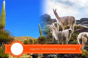 laguna choclococha huancavelica como llegar desde lima